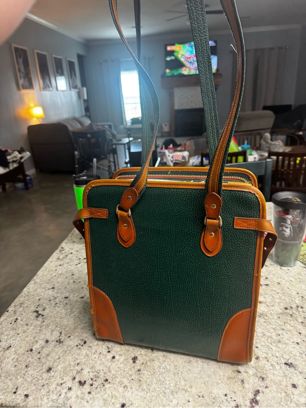 Dooney & Bourke Green and Brown Structured Shoulder Tote